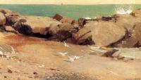 Homer, Winslow - Rocky Coast and Gulls